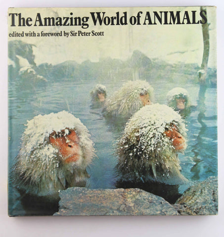 Amazing World of Animals, by Scott, P.  